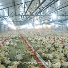 Automatische Geflügelfarm-Wasser-Trinker für Huhn